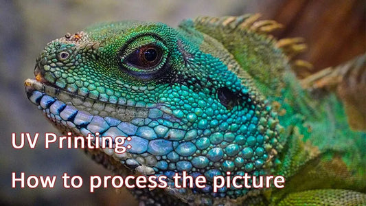 Picture processing of UV printer