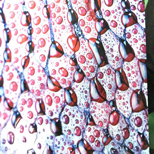 How can you use Spot Gloss UV Varnish printing as part your marketing?