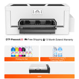 Peacock33 (Single XP600) A3 DTF Printer