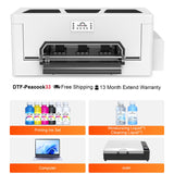 Peacock33 (Single XP600) A3 DTF Printer