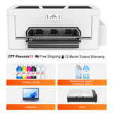 Peacock33 (XP600 simple) Impresora DTF A3