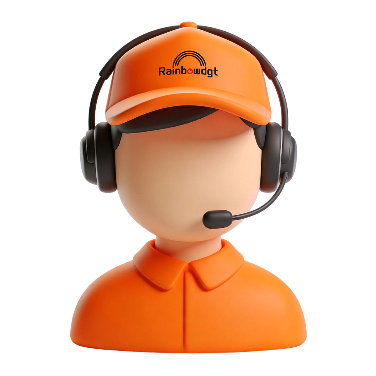 Rainbowdgt Remote Expert Service